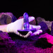 Анальна пробка з вібрацією та пульсацією Hueman - Supernova Thrusting Buttplug