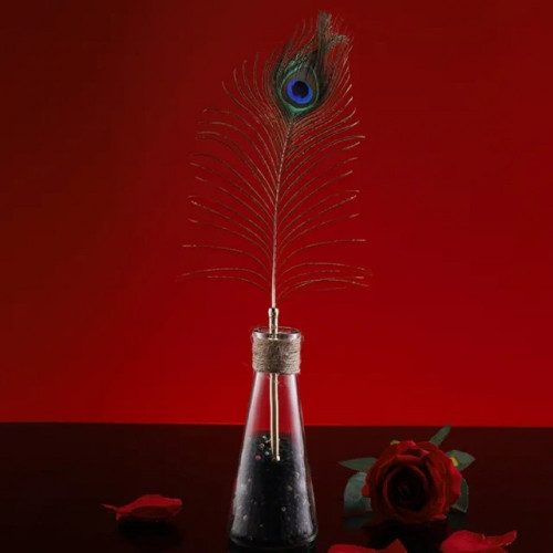 Набор из 2 перышек Lockink Natural Peacock Flirting Feather Tickler