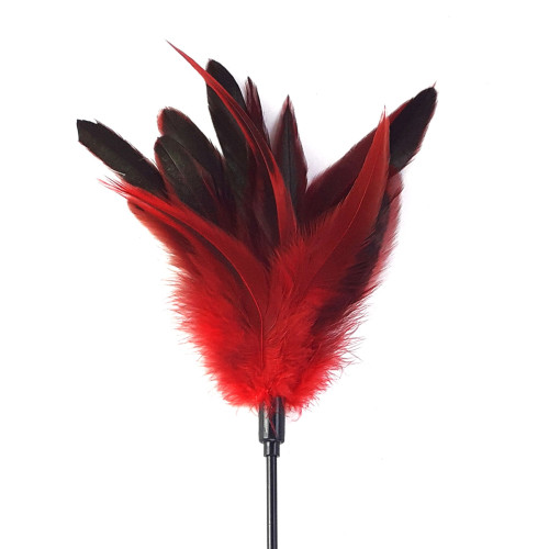 Щекоталка с пером петуха Art of Sex – Feather Paddle, красная