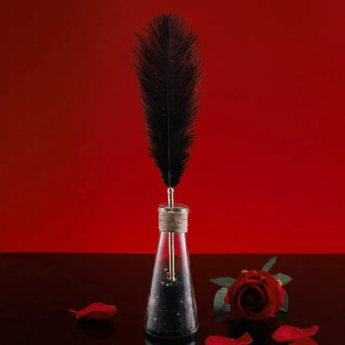 Набор из 2 перышек Lockink Natural Peacock Flirting Feather Tickler