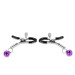 Зажимы для сосков Fetish B - Series Exclusive Nipple Clamps No.17