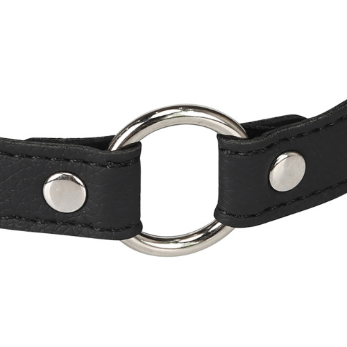 Нашийник Erospace Wild Play Choker With Ring C17