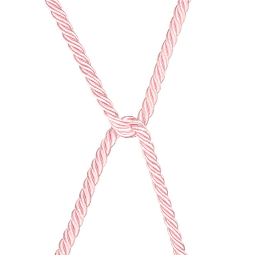 Мотузка LoveToy Rebellion Reign Bondage Rope Rose, 10 м