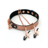 Ошейник с зажимами для сосков Liebe Seele Rose Gold Memory Collar with Nipple Clamps, кожа