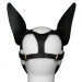 Маска LoveToy Rebellion Reign Scarred Alpha Pup Mask