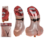 Воздушный шарик OOTB Penis XL Balloon, 44,5 х 74 см