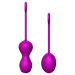 Набор вагинальных шариков B - Series Fox Kegel Balls Set