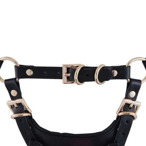 Сбруя со страпоном LOCKINK SEVANDA Queen Sheba Set with Pink Dildo