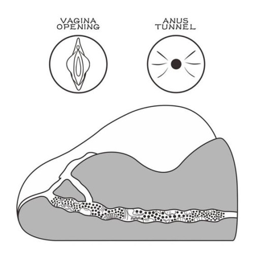 Мастурбатор LoveToy Streetgirl's #2 Black