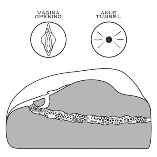 Мастурбатор LoveToy Streetgirl's #1 Black