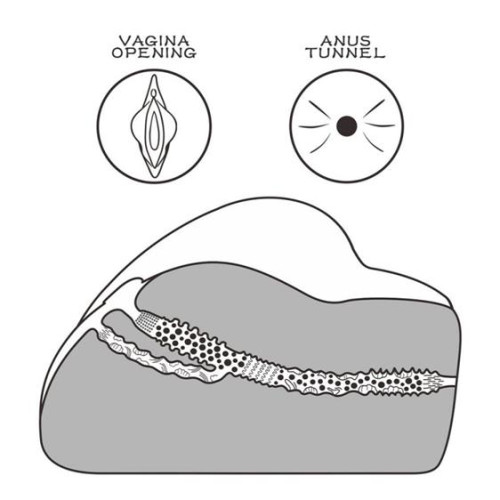 Мастурбатор LoveToy Streetgirl's #3 Flesh