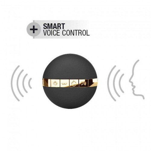 Выбройдайте Dorcel Secret Delight Gold с пультом ДУ, с турборежимом и голосовым управлением